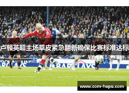 卢顿英超主场草皮紧急翻新确保比赛标准达标